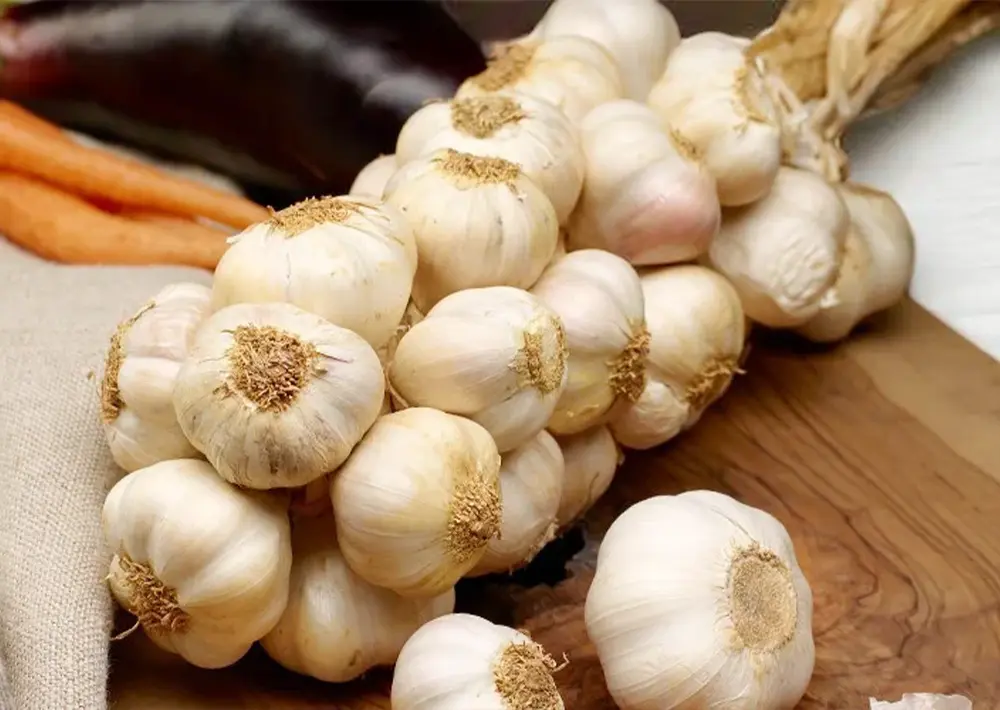 Garlic Seasoning